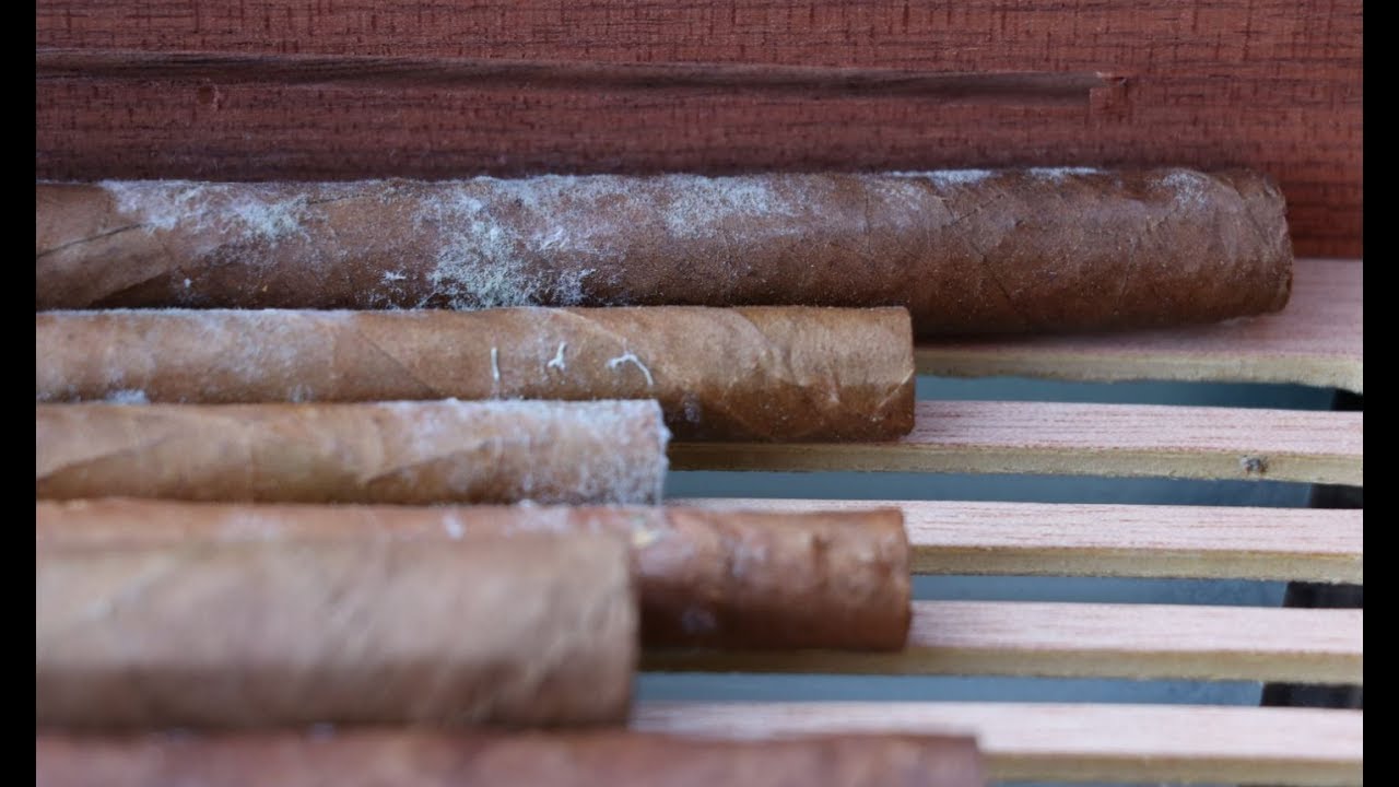 What are white spots on cigars? The Cigar Store